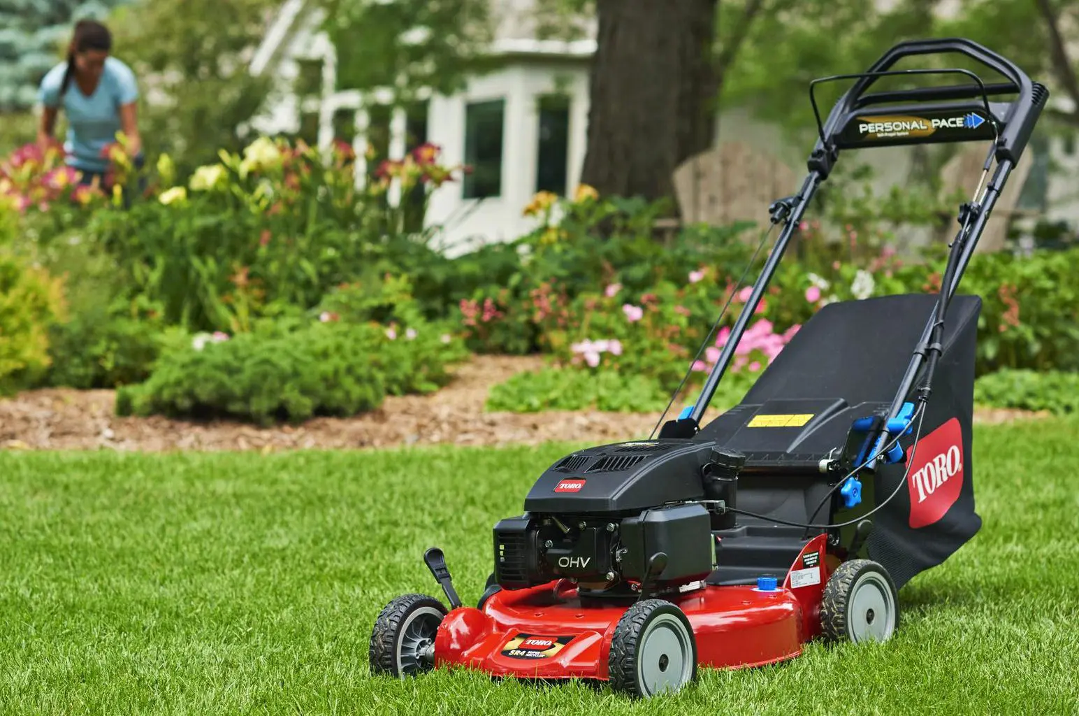 Lawn Mower